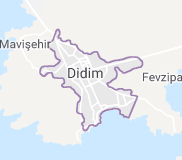 DİDİM